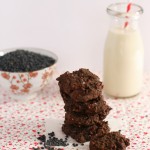 Flourless Dark Chocolate Cookies {Gluten-Free, Vegan}