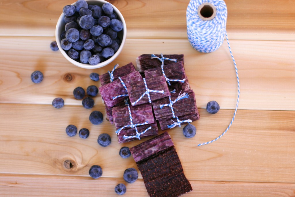 Blueberry Chia Fruit Roll-Up