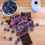 Blueberry Chia Fruit Roll-Ups