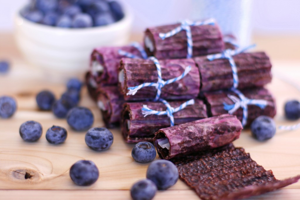 Blueberry Chia Fruit Roll-Up